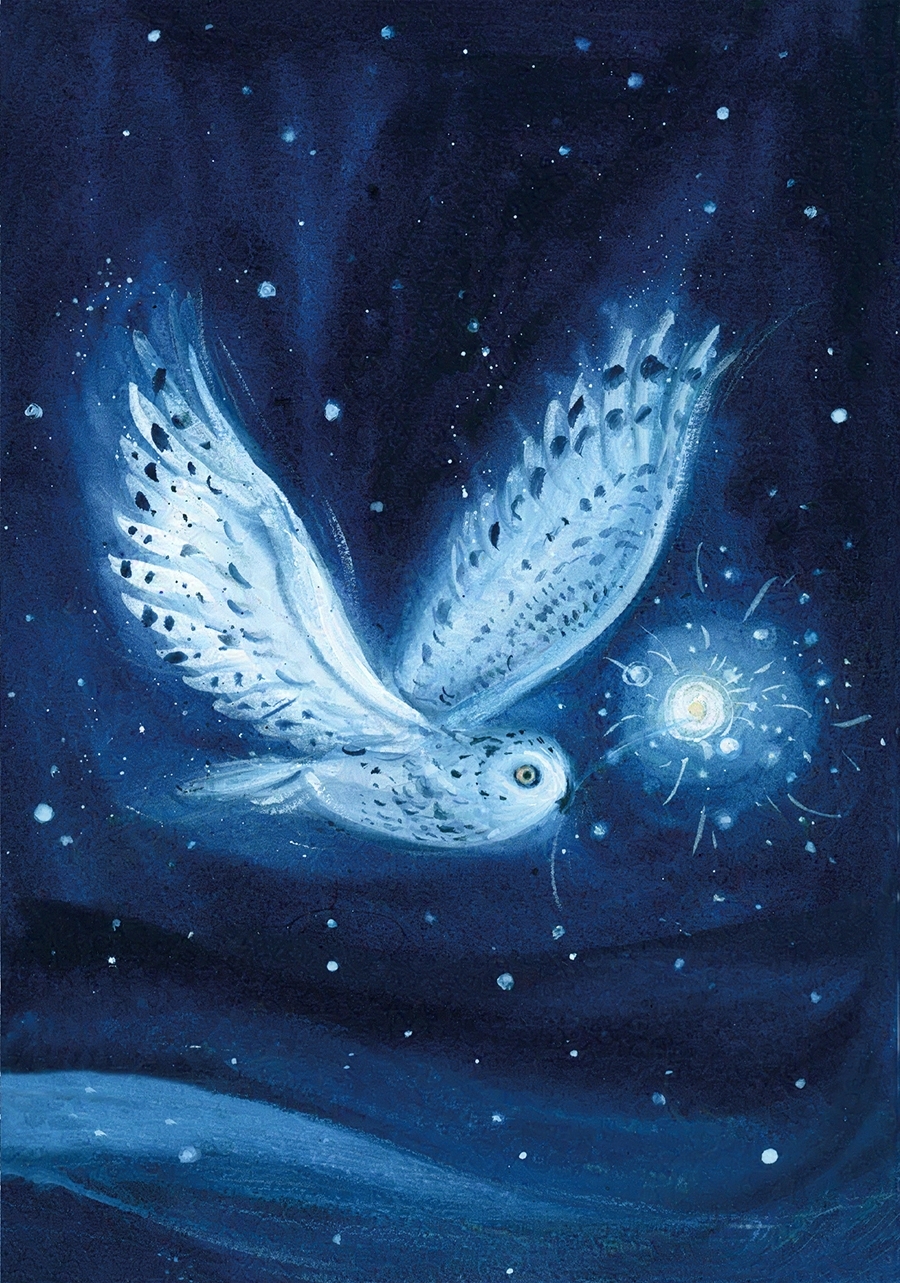 *NEW* Christmas card set - Snowy owl - Image 2