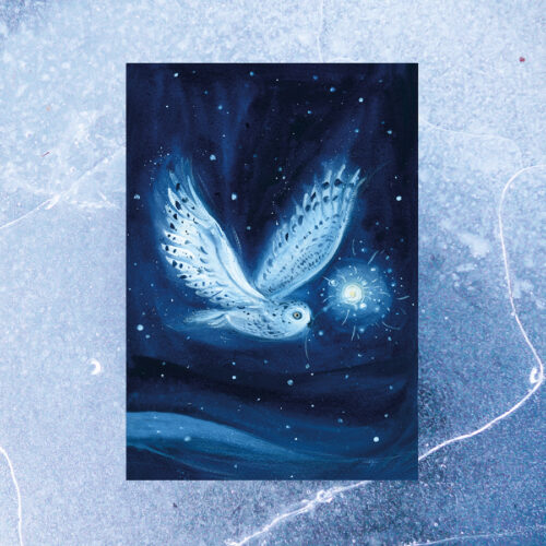 *NEW* Christmas card set - Snowy owl