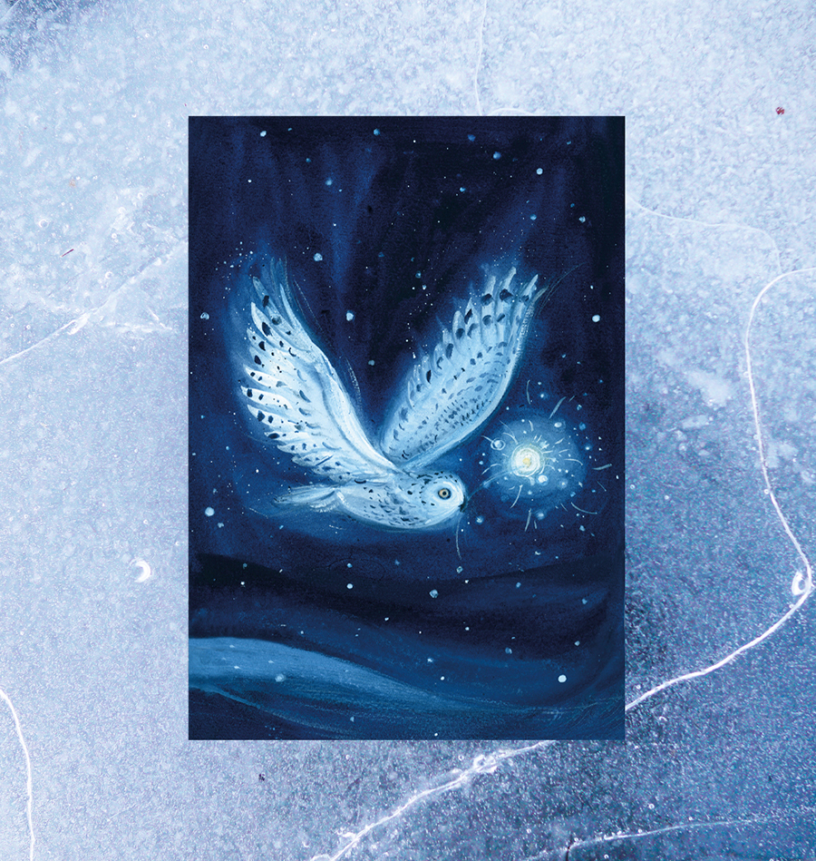 *NEW* Christmas card set - Snowy owl